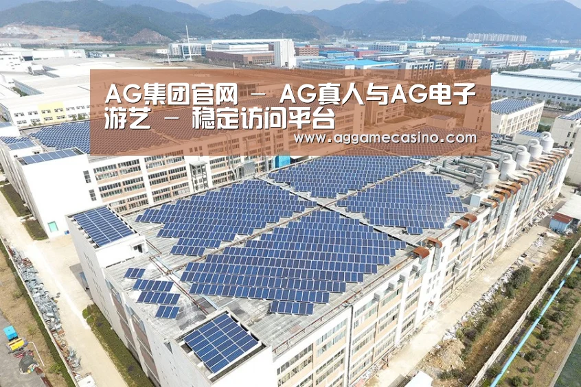 案例展示三