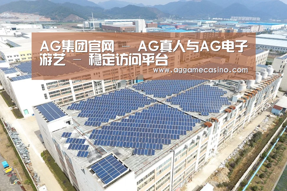 案例展示四